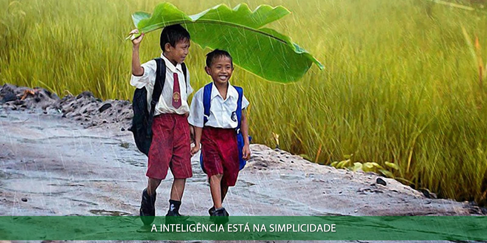 Figura 7 - MODELO DE NEGÓCIOS. A IMPORTÂNCIA DA ORGANIZAÇÃO NA VIDA SUA EMPRESA